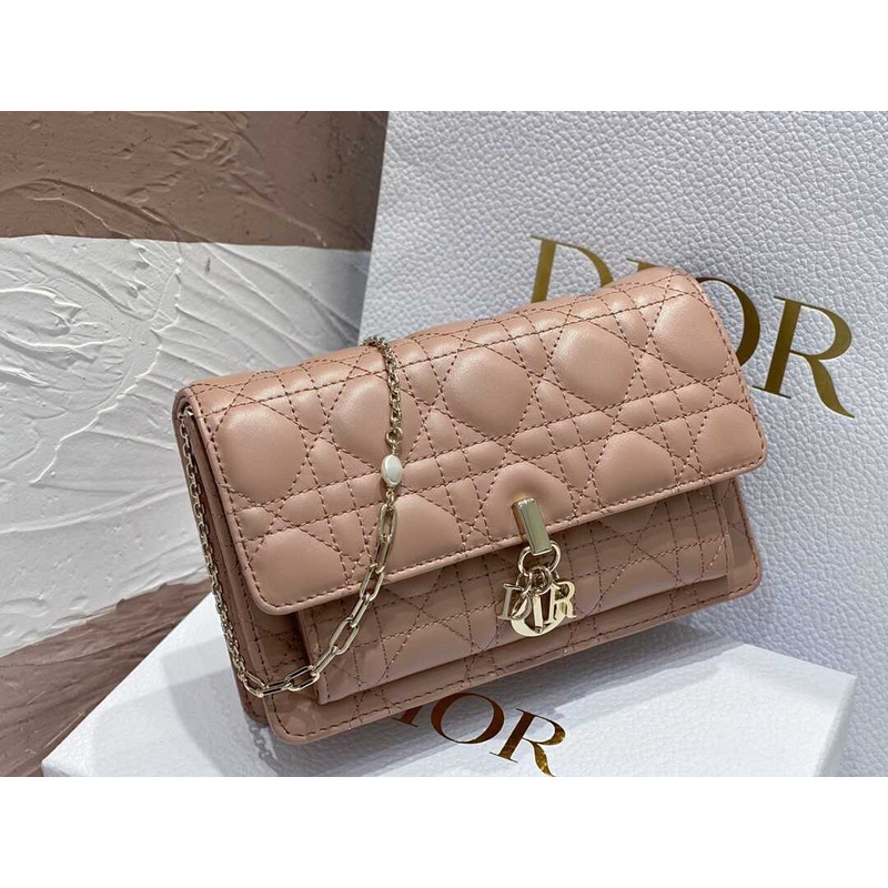 D*or hazelnut lady bag