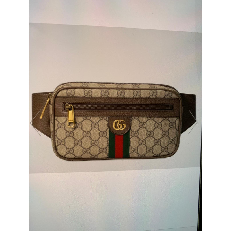ophidia G*u*i belt bag