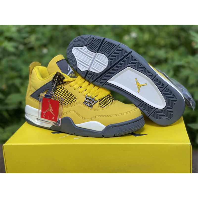 Air Jordan 4 RETRO CT8527 700 Sneakers Men Women