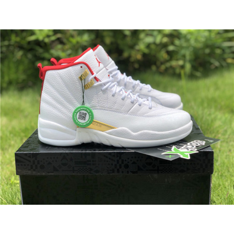 Air Jordan 12
