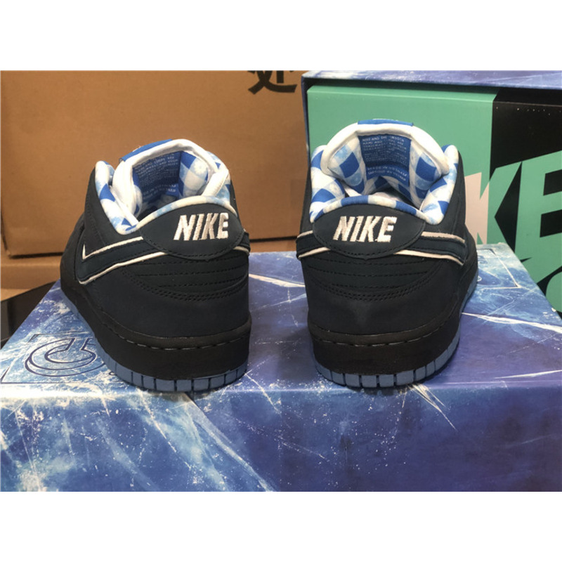Nike SB Dunk Low Sneakers Men Women