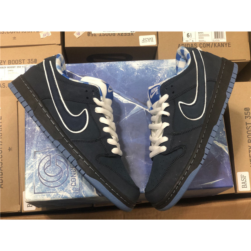 Nike SB Dunk Low Sneakers Men Women