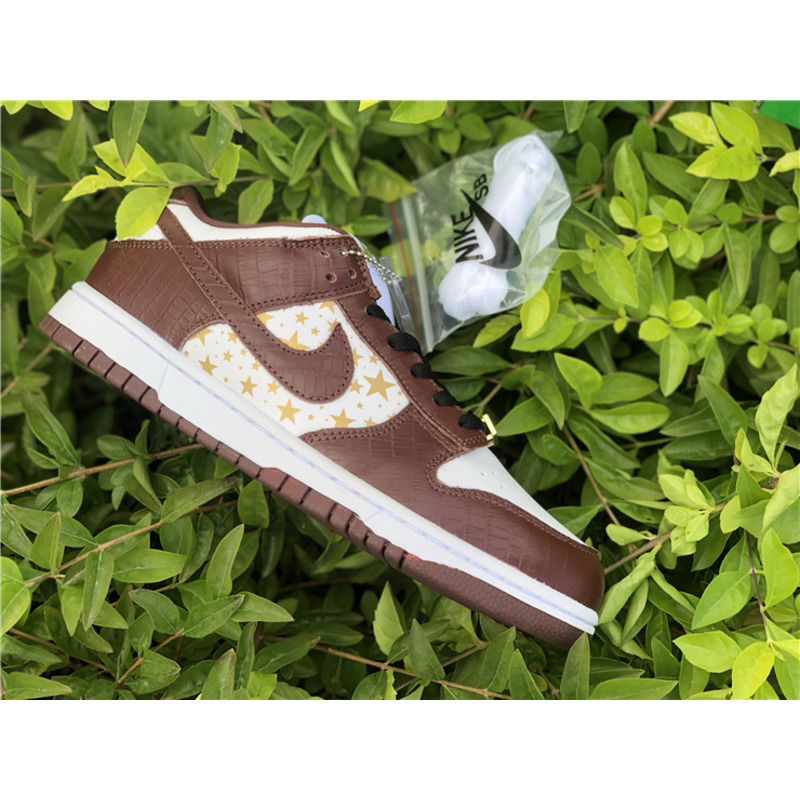 S*p*e x nike sb dunk low dh3228 103 sneakers men women
